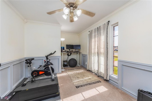 exercise room with crown molding, carpet, and wainscoting