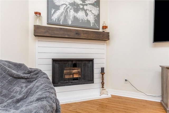 details featuring baseboards, wood finished floors, and a fireplace