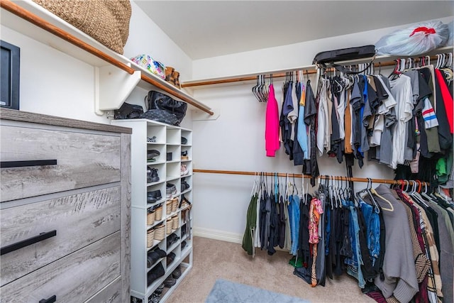 spacious closet with carpet flooring