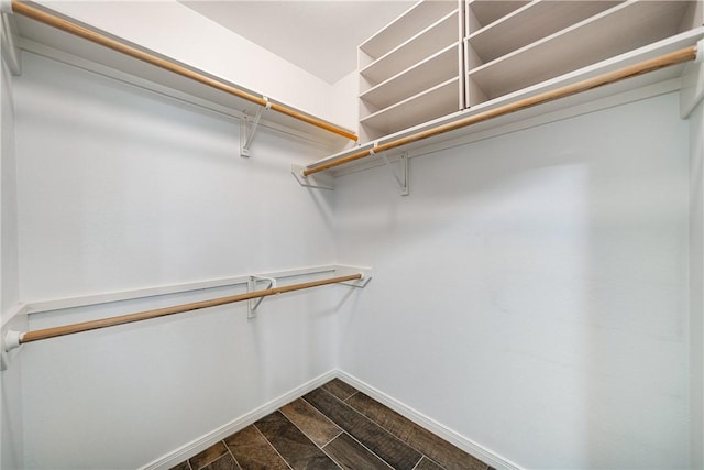 5921 Tapestry Dr, Corpus Christi, TX 78414 - view of spacious closet