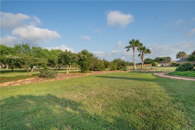 8018 Mt Zion, Corpus Christi, TX 78413 - view of green lawn