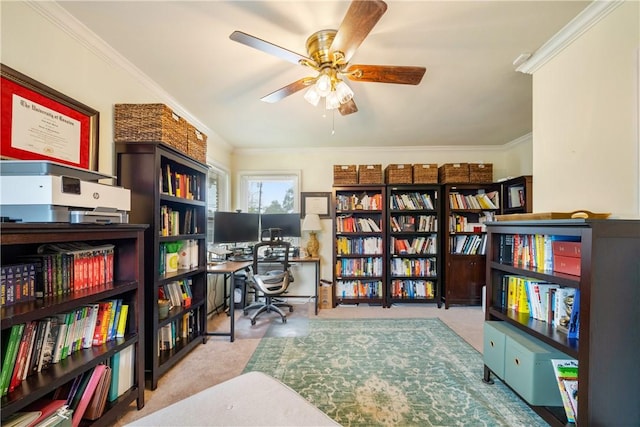 home office with ceiling fan and crown molding
