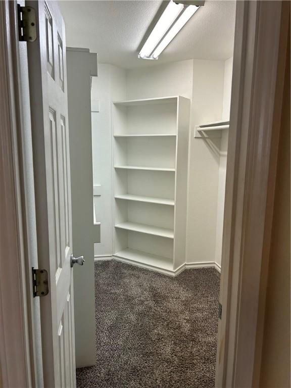 walk in closet featuring carpet