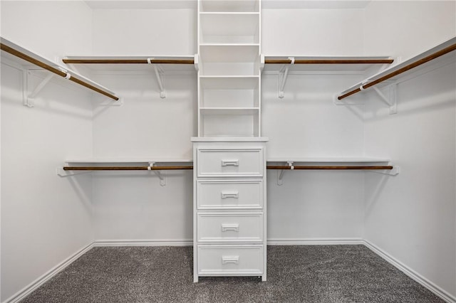 spacious closet featuring dark colored carpet