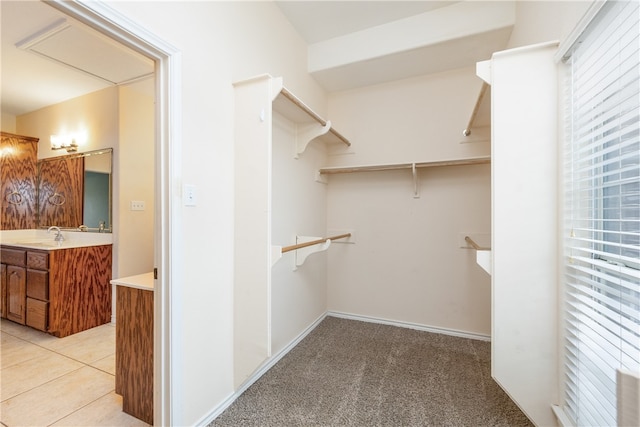 spacious closet featuring sink and light carpet