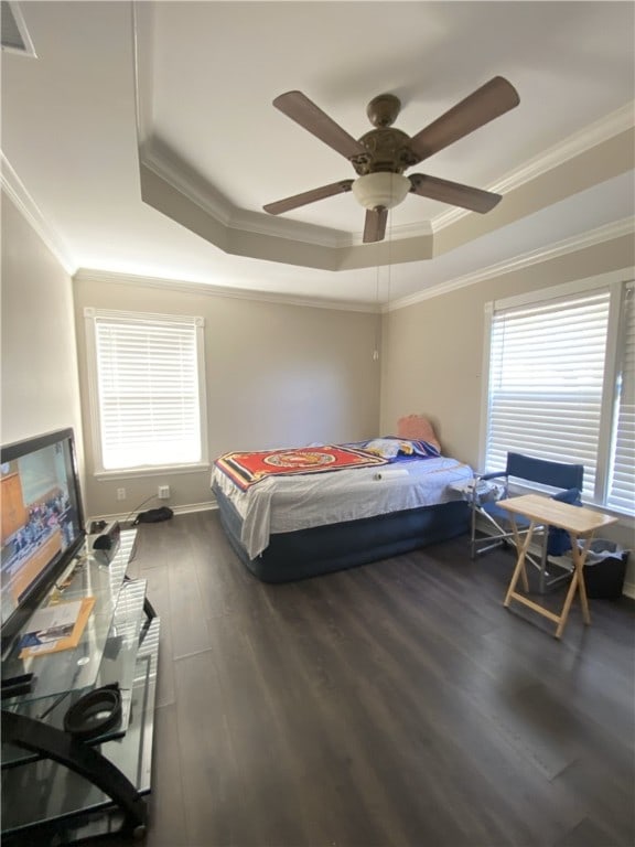 bedroom featuring a raised ceiling, multiple windows, and dark wood-type flooring