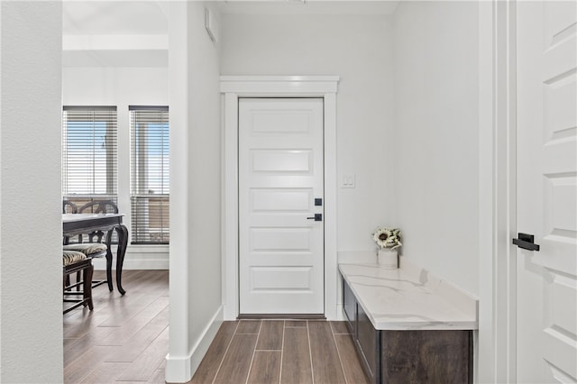 foyer featuring dark wood-type flooring