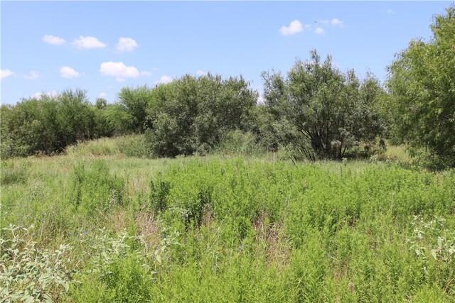 Listing photo 2 for TBD County Road 2367, Sinton TX 78387