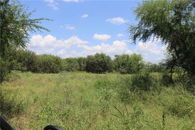 TBD County Road 2367, Sinton TX, 78387 land for sale