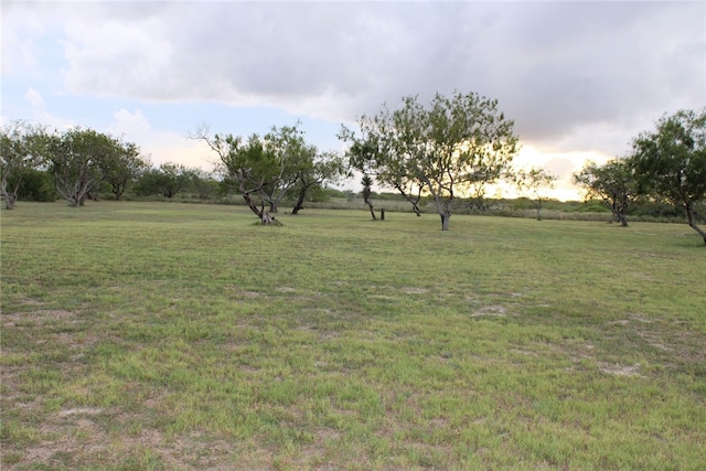 343 Harbour Dr, TX, 78598 land for sale