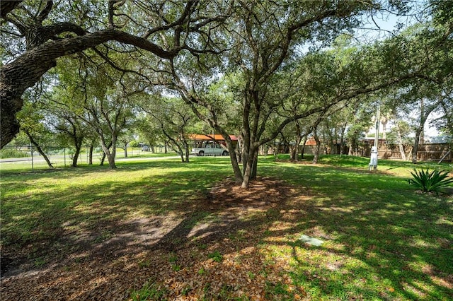 507 S Terry St, Rockport, TX 78382 - view of yard