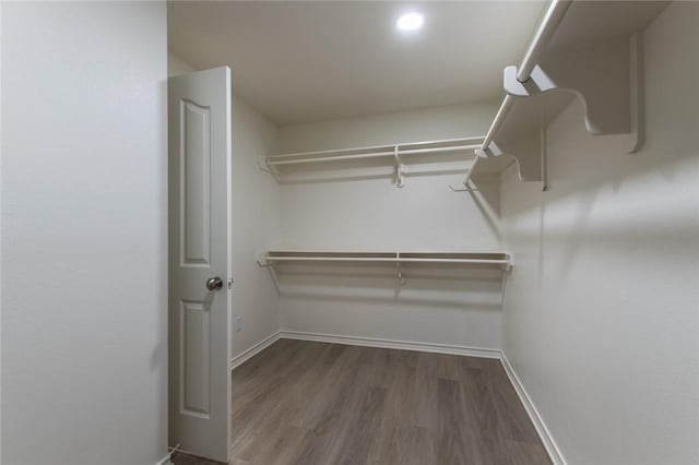 spacious closet featuring wood-type flooring