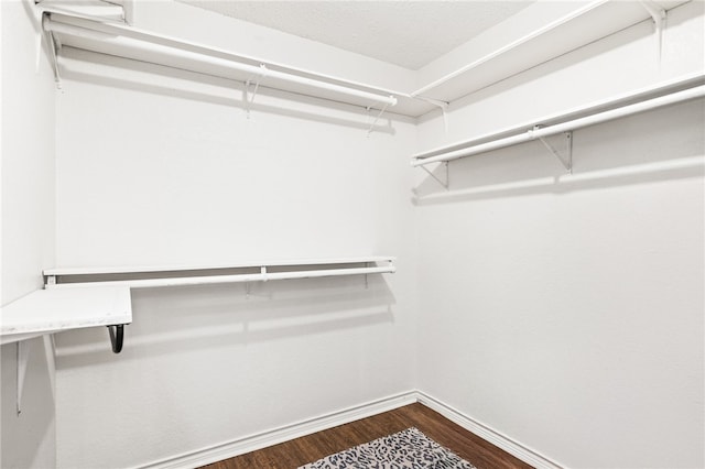 13853 Topsail St, Corpus Christi, TX 78418 - spacious closet with dark wood-type flooring