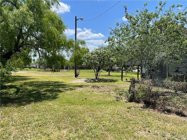 202 W D Ave, Kingsville, TX 78363 - view of grassy yard