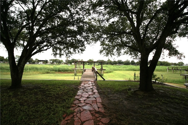 view of community featuring a yard