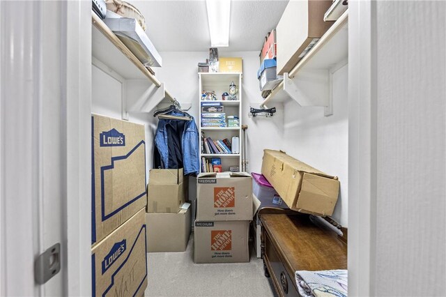 spacious closet featuring light colored carpet