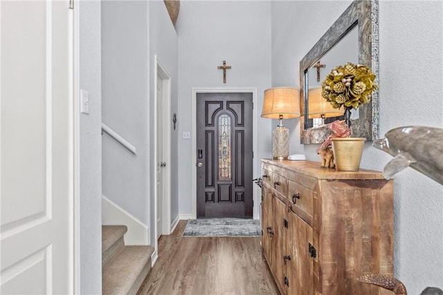 foyer entrance with wood-type flooring