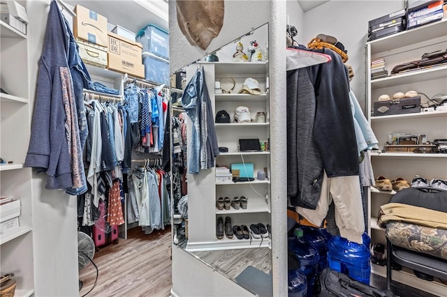 walk in closet featuring hardwood / wood-style floors