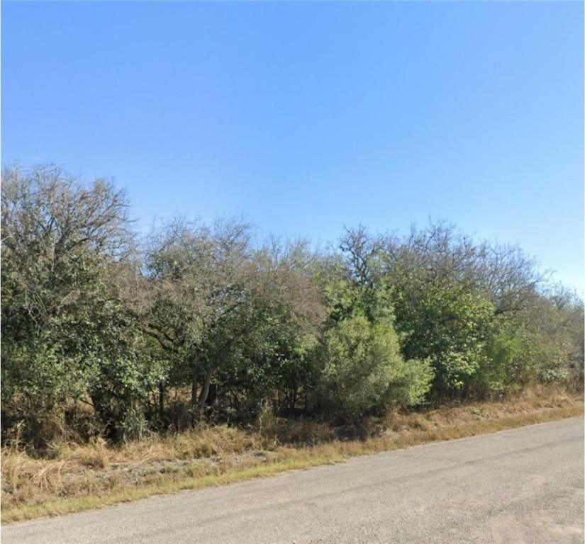21905 County Road 1664, Mathis, TX 78368 - photo 2