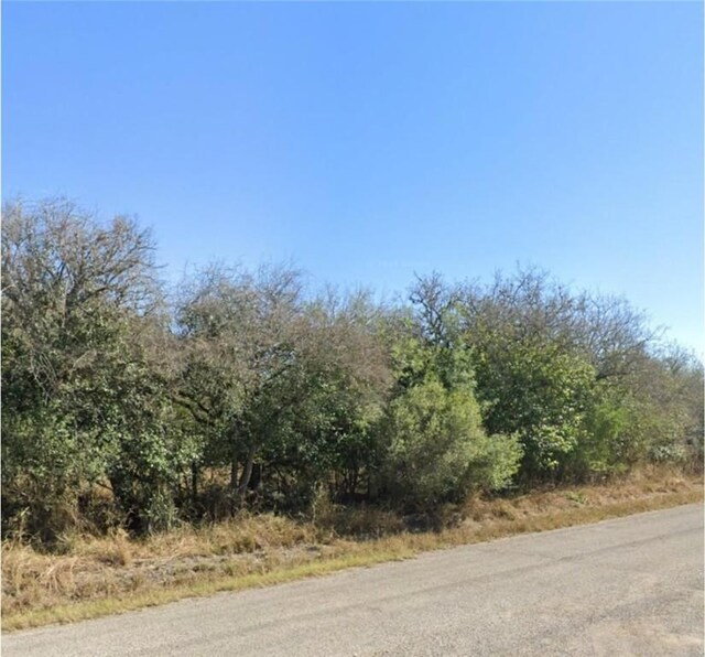 21905 County Road 1664, Mathis, TX 78368 - photo 2