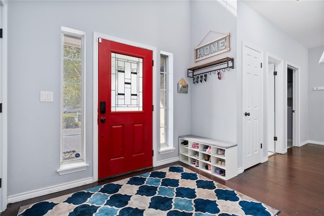 foyer with a wealth of natural light and dark wood-type flooring