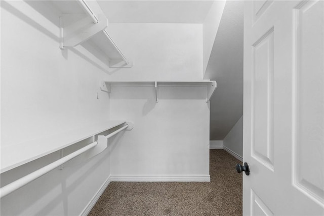 spacious closet featuring dark colored carpet