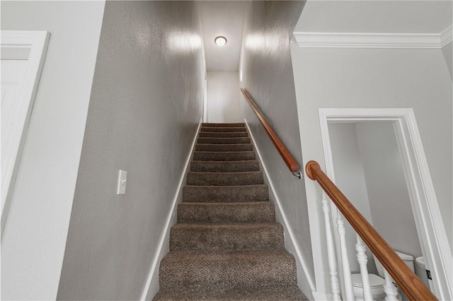 stairway featuring baseboards, carpet, and crown molding
