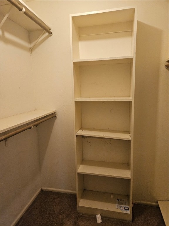 spacious closet with dark colored carpet