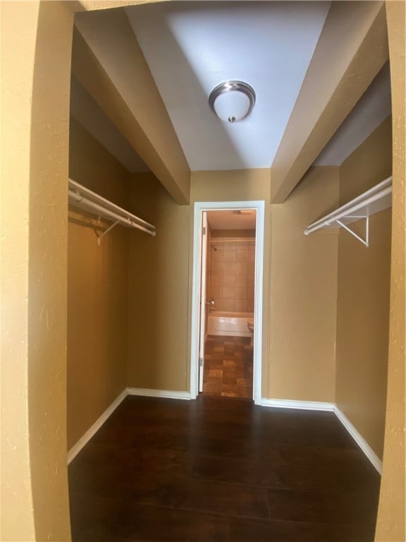 walk in closet featuring dark hardwood / wood-style floors