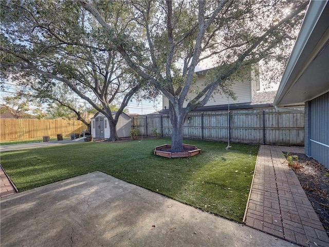 view of yard featuring a patio and a storage shed