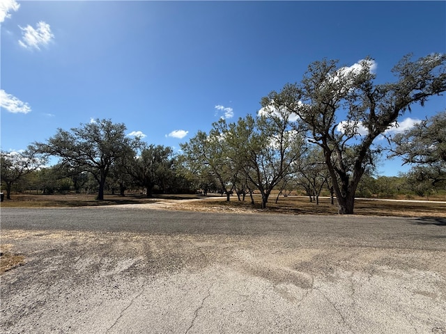 view of yard with a rural view