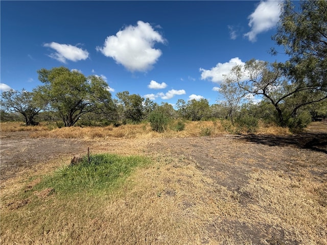 view of local wilderness featuring a rural view