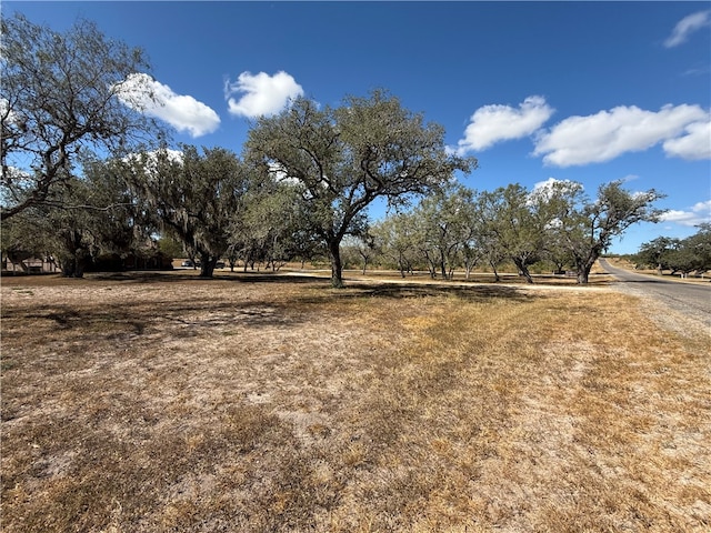 view of yard featuring a rural view