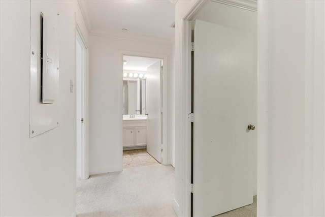 4350 Ocean Dr Unit 103, Corpus Christi, TX 78412 - hallway featuring crown molding and light carpet
