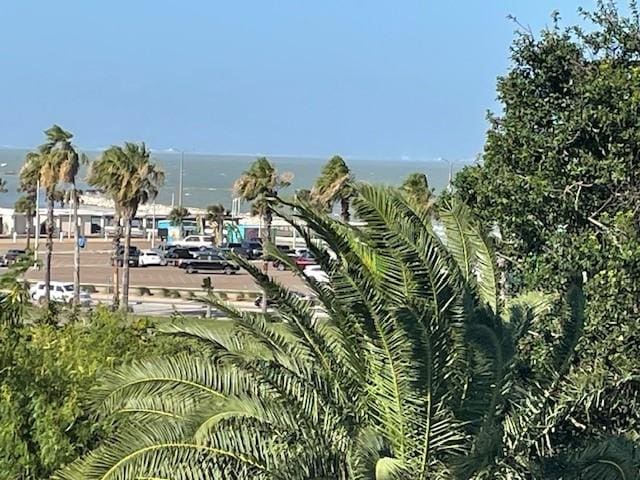 715 S Upper Broadway St Unit 202, Corpus Christi, TX 78401 - water view