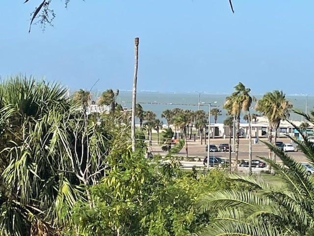 715 S Upper Broadway St Unit 202, Corpus Christi, TX 78401 - city view with a nearby body of water