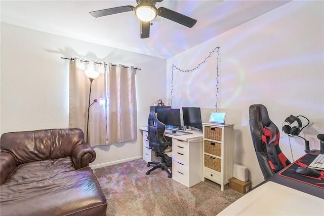 7934 Grizzley Dr, Corpus Christi, TX 78414 - photo 23