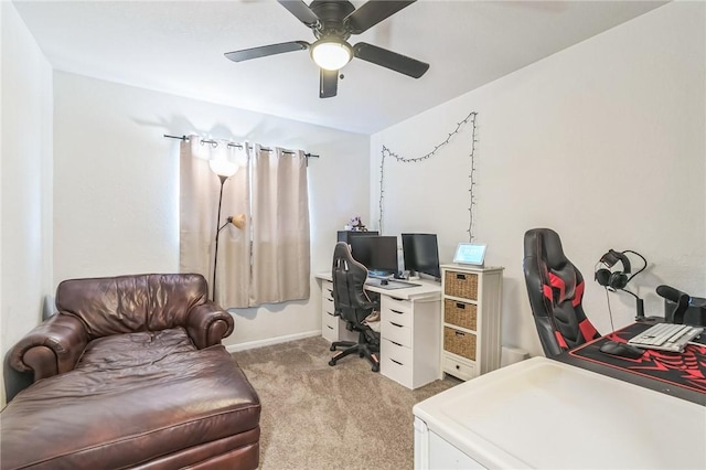 7934 Grizzley Dr, Corpus Christi, TX 78414 - photo 22