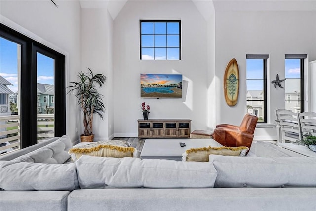 living area featuring a wealth of natural light, a towering ceiling, wood finished floors, and baseboards