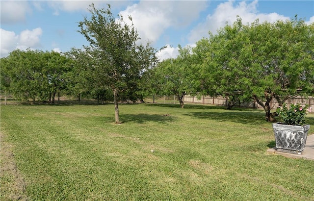 5806 Lago Vista Dr, Corpus Christi, TX 78414 - view of yard
