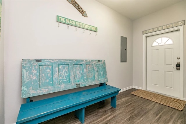 foyer featuring electric panel and dark hardwood / wood-style floors