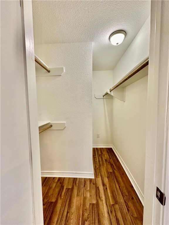 spacious closet featuring dark hardwood / wood-style floors