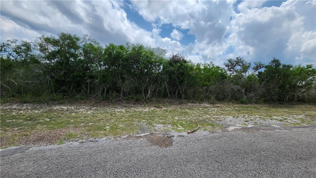 16 County Road 372, Sandia, TX 78383 - photo 2