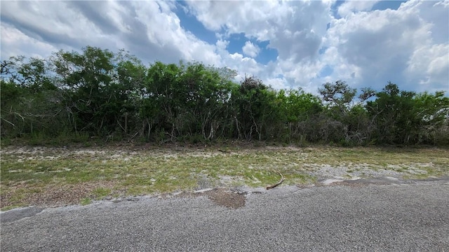 16 County Road 372, Sandia, TX 78383 - photo 2