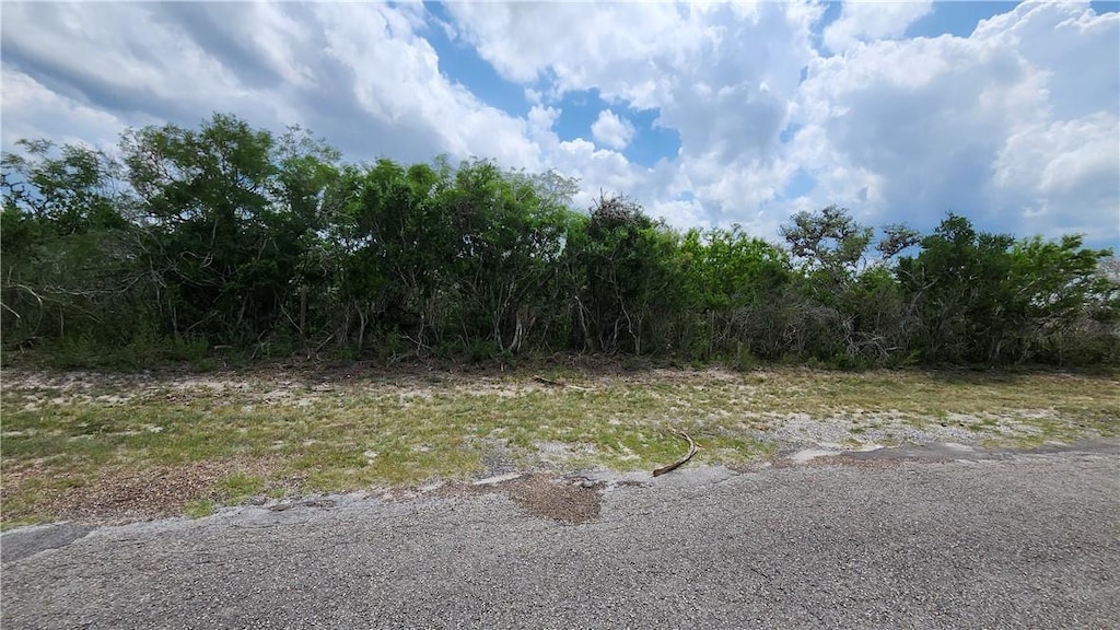 16 County Road 372, Sandia, TX 78383 - photo 1
