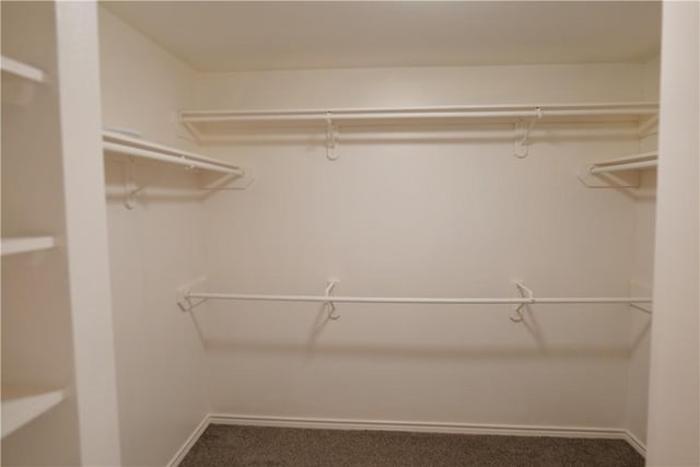 3022 Chapel Creek Dr, Corpus Christi, TX 78414 - walk in closet with carpet floors