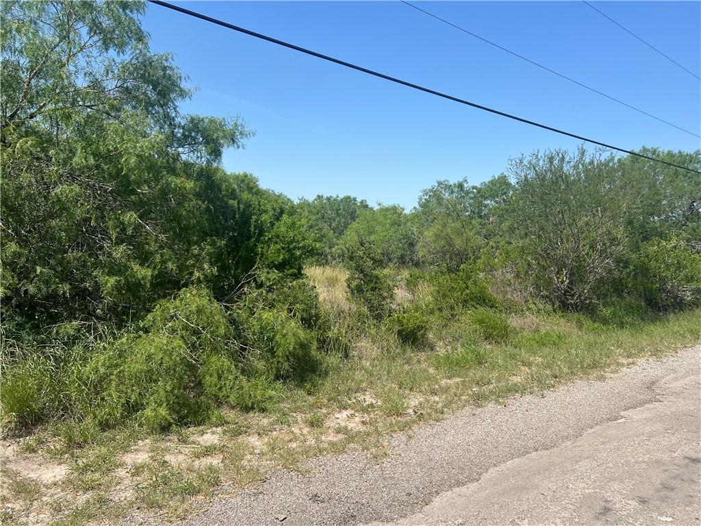 0 W County Road 2180, Kingsville, TX 78363 - photo 2