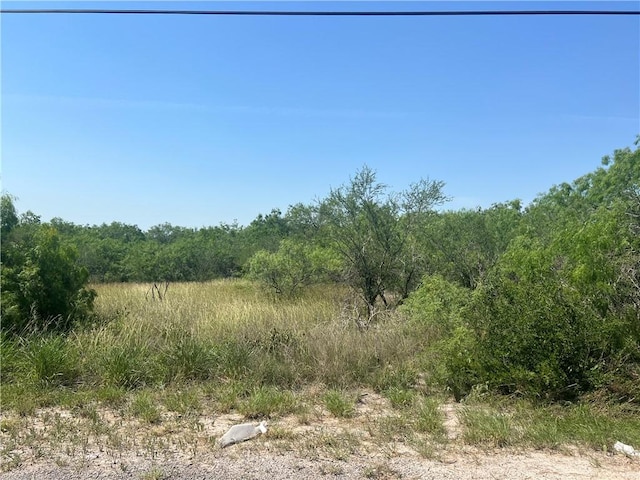 0 W County Road 2180, Kingsville, TX 78363 - photo 1