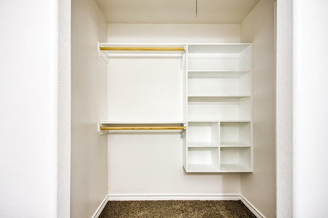 spacious closet with carpet flooring