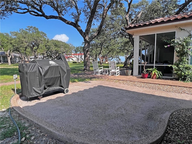 view of yard featuring a patio and a sunroom